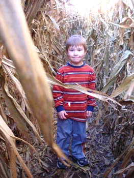 Jack in corn maze