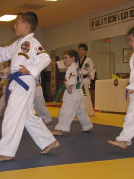 Tae Kwon Do 3