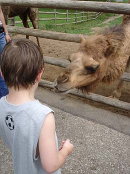 Grant's Farm 8