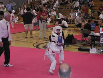 Tae Kwon Do  Tournament 2