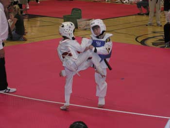 Tae Kwon Do  Tournament 3