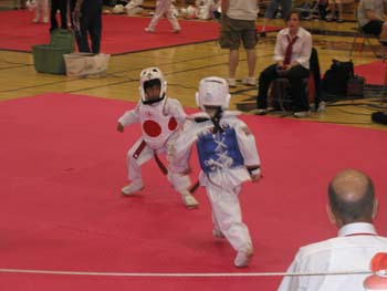 Tae Kwon Do  Tournament 6