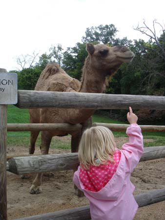 Grant's Farm