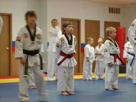 Tae Kwon Do 1