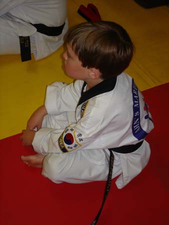 Tae Kwon Do 3